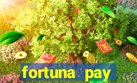 fortuna pay consultoria financeira ltda